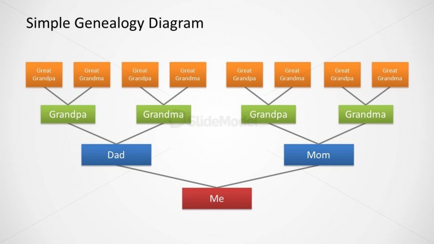 Example of genealogy family tree diagram design for PowerPoint presentations.