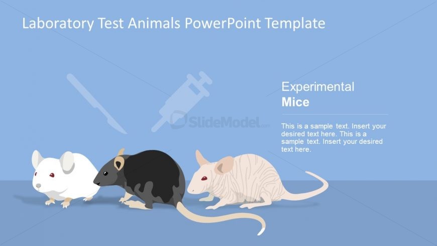 Inject and Dissect Mice for Mutation
