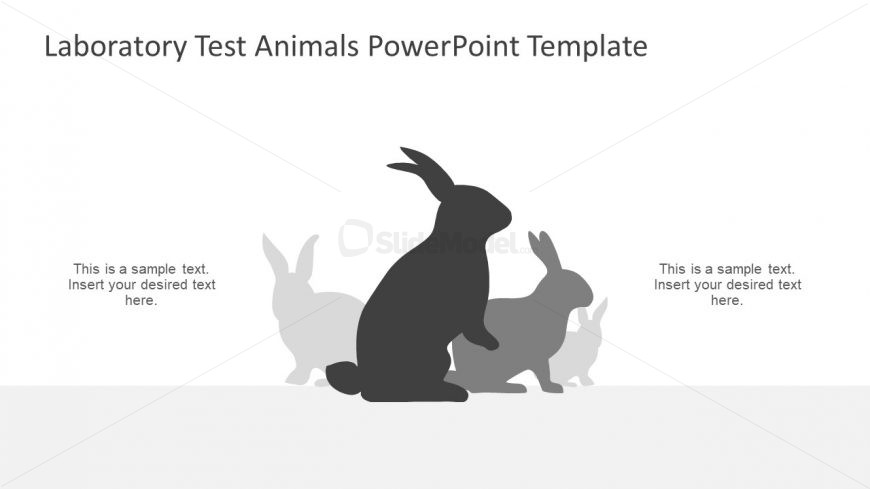 Black and Grey Shadow Image of Rabbit