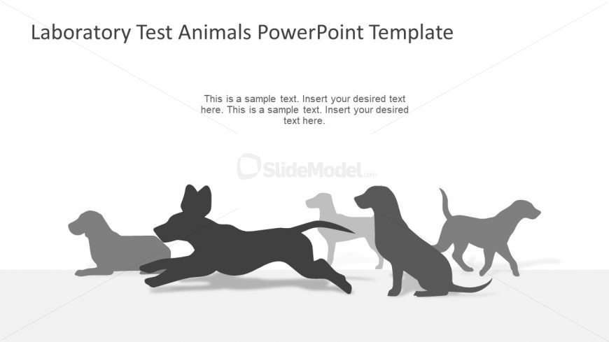 Dog Breed Walking and Sitting